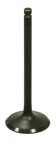 Namura Intake Valve