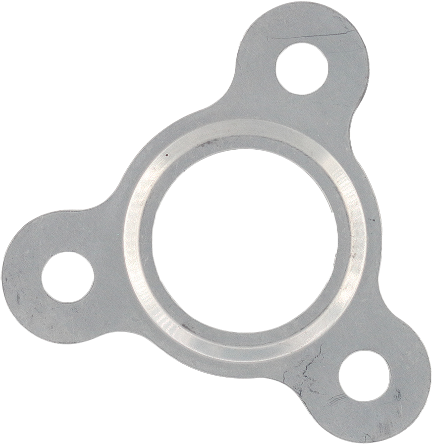 SP1 Exhaust Gasket Kit