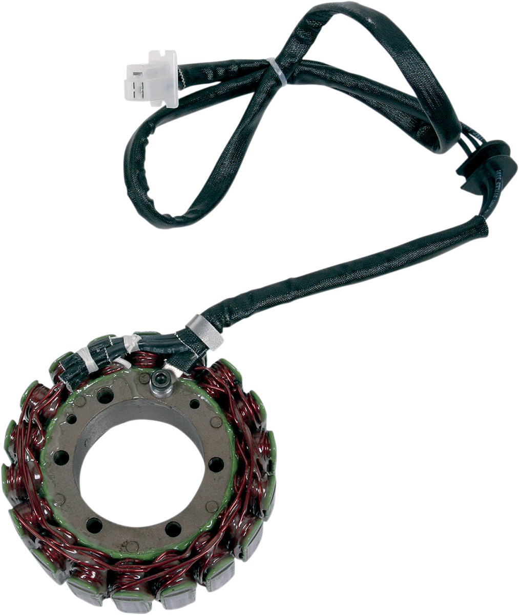 Rick's Motorsport Electric Stator