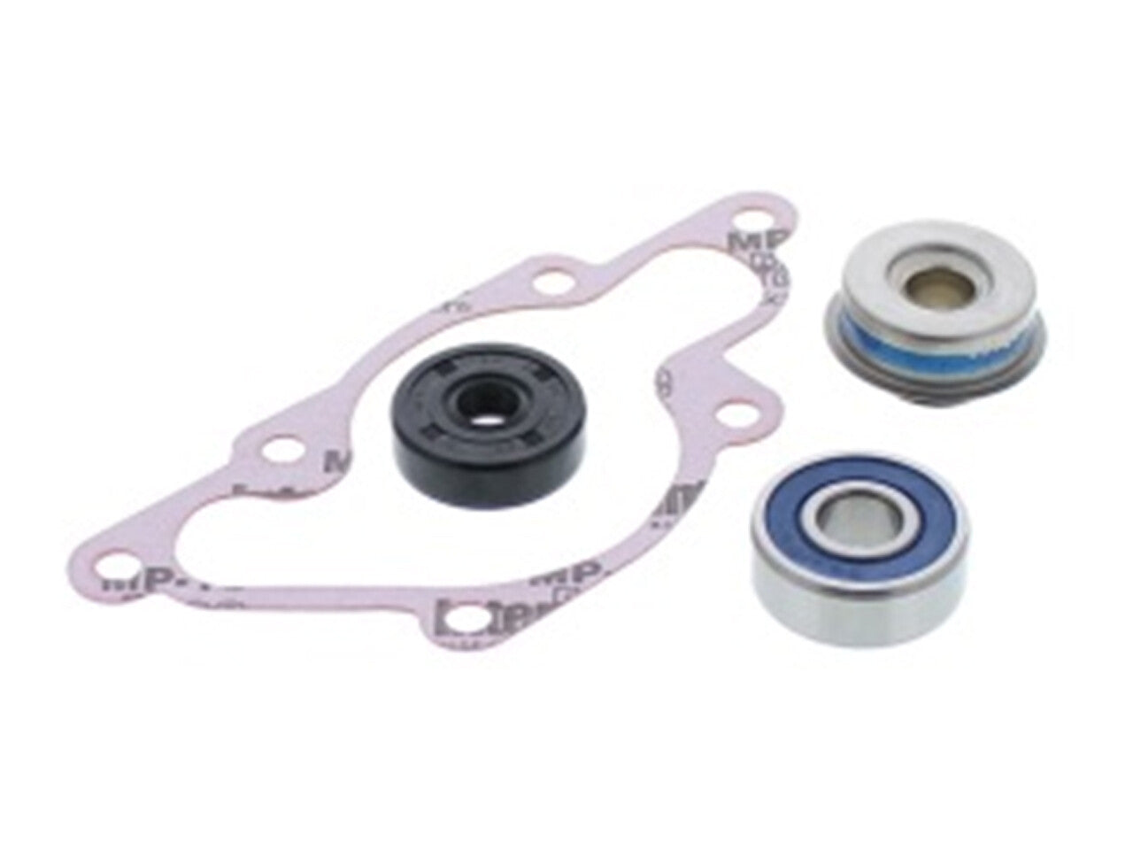 SP1 Water Pump Repair Kit