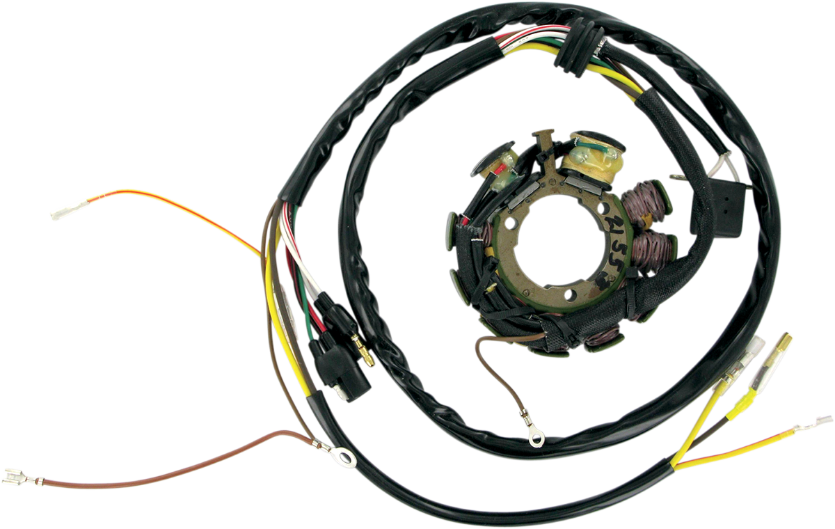Rick's Motorsport Electric Stator