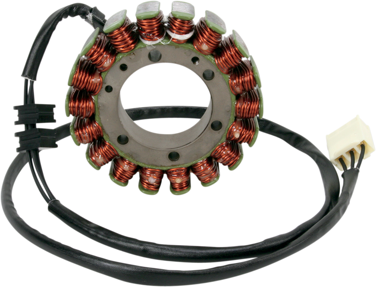 Rick's Motorsport Electric Stator