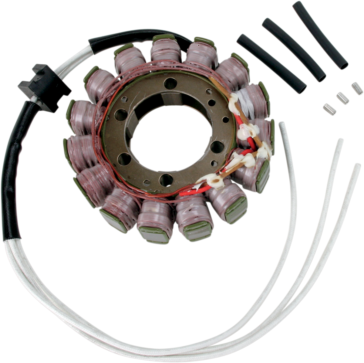 Rick's Motorsport Electric Stator
