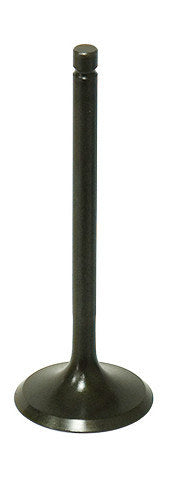 Namura Intake Valve