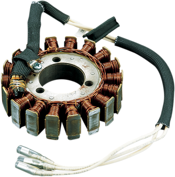 Rick's Motorsport Electric Stator
