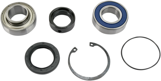 All Balls Chain Case Bearing and Seal Kit