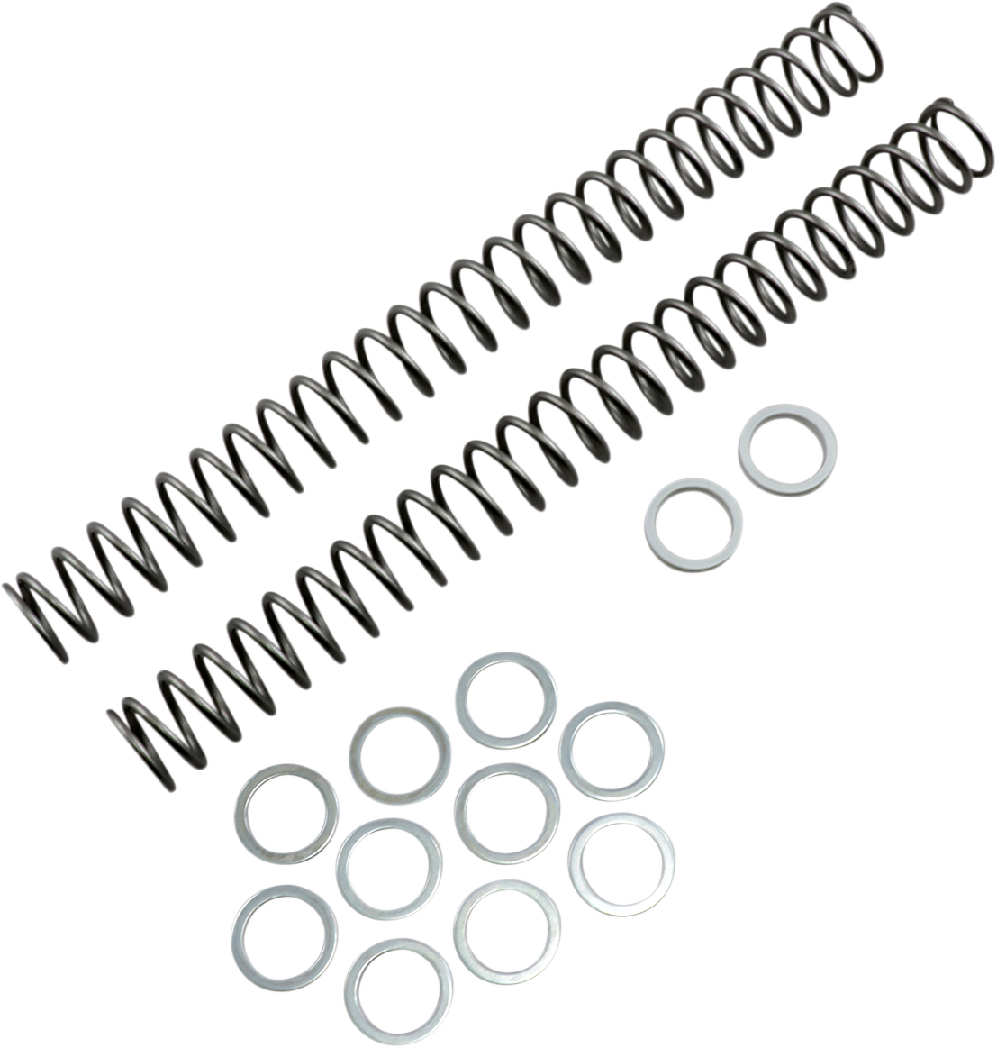 Race Tech Fork Springs