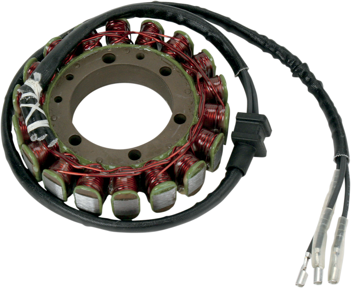 Rick's Motorsport Electric Stator