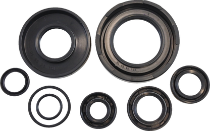 Vintco Oil Seal Kit