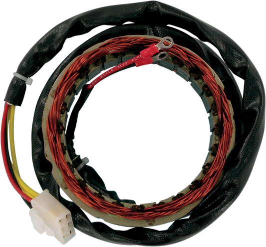 Rick's Motorsport Electric Stator