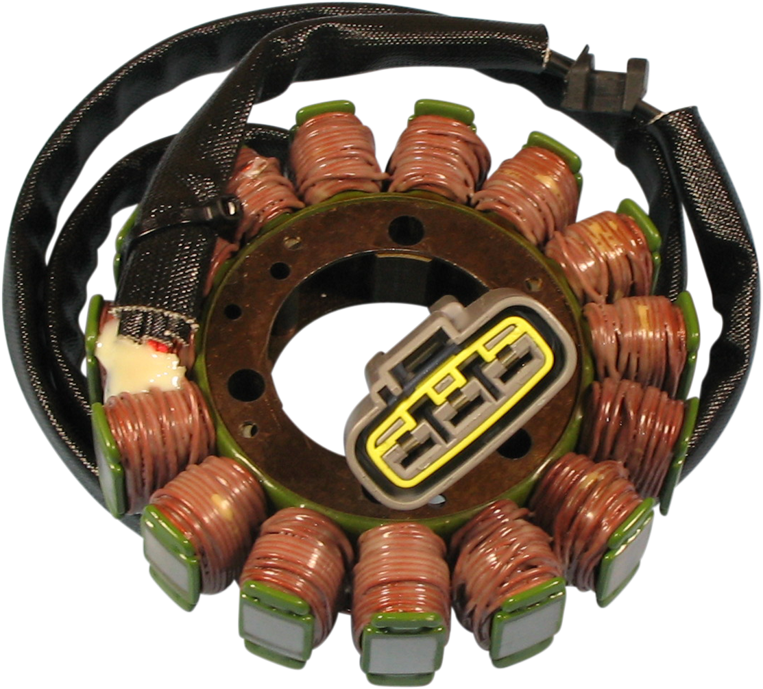 Rick's Motorsport Electric Stator