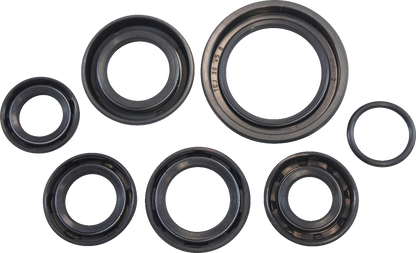 Vintco Oil Seal Kit