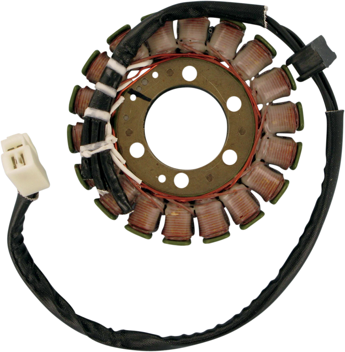 Rick's Motorsport Electric Stator