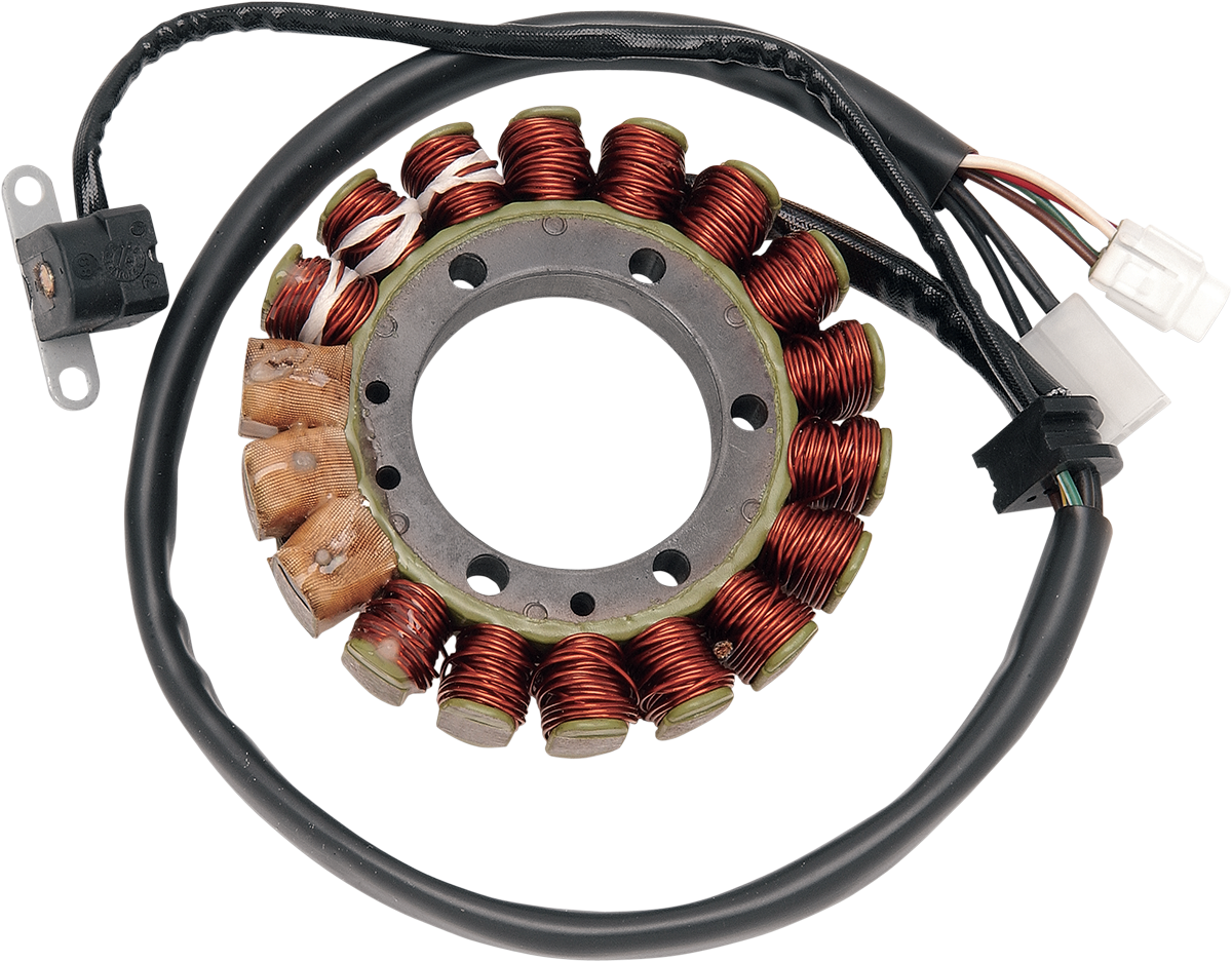 Rick's Motorsport Electric Stator