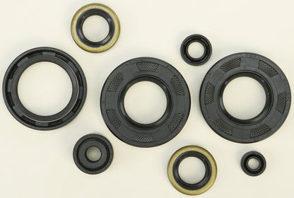 VERTEX Oil Seal Kit