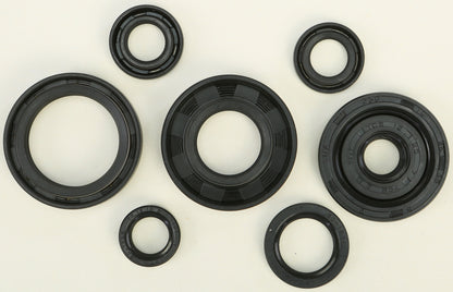 VERTEX Oil Seal Kit