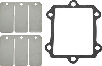 SP1 Reed Valve Rebuild Kit