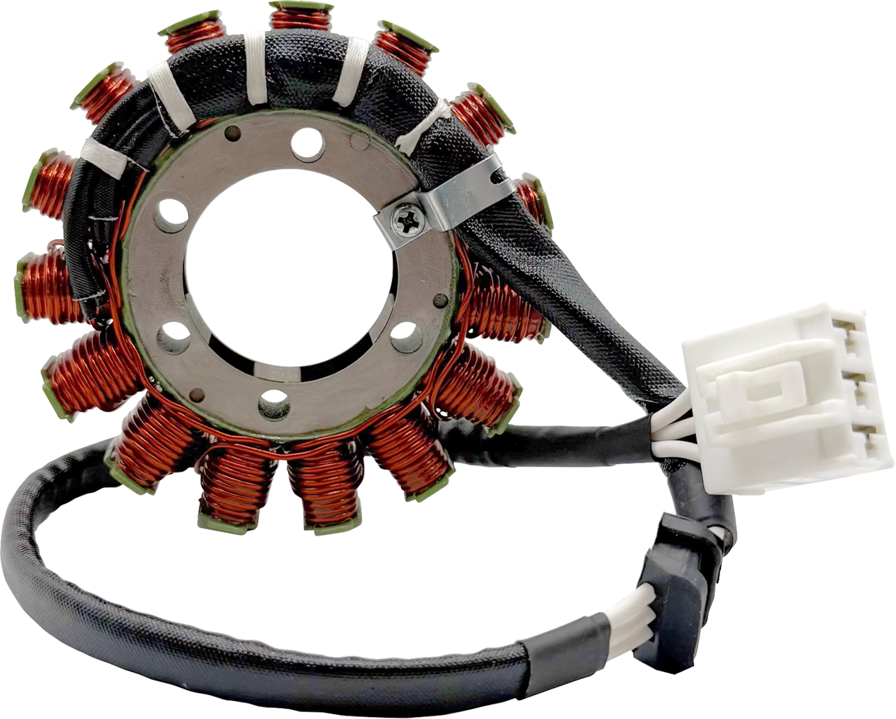 Rick's Motorsport Electric Stator