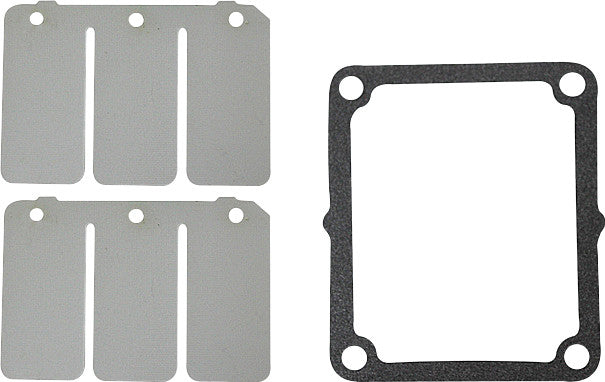 SP1 Reed Valve Rebuild Kit