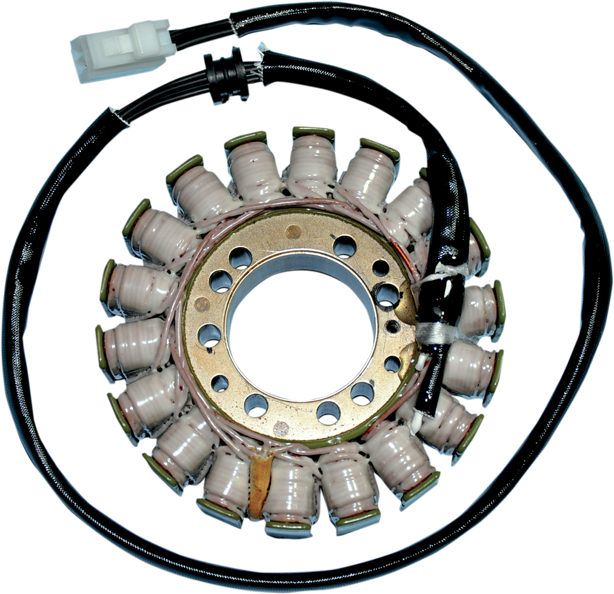 Rick's Motorsport Electric Stator