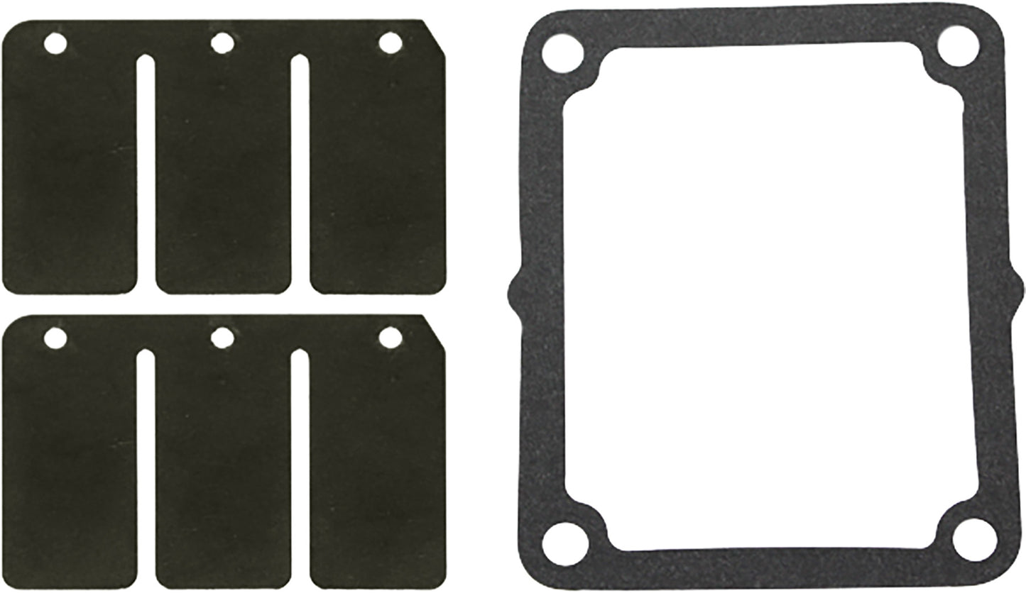 SP1 Reed Valve Rebuild Kit