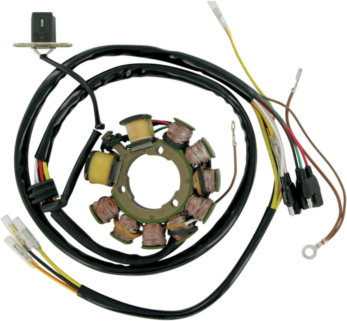 Rick's Motorsport Electric Stator