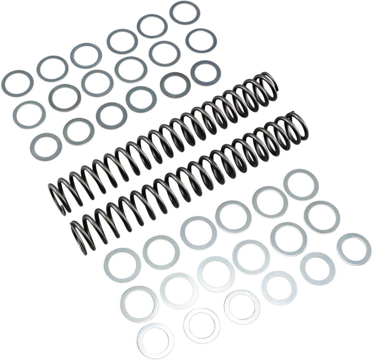 Race Tech Fork Springs