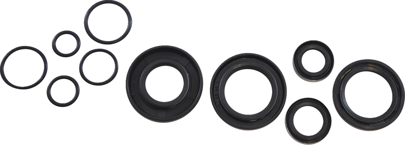 Vintco Oil Seal Kit