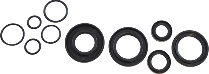 Vintco Oil Seal Kit