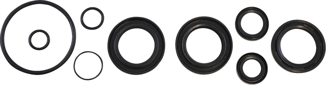 Vintco Oil Seal Kit