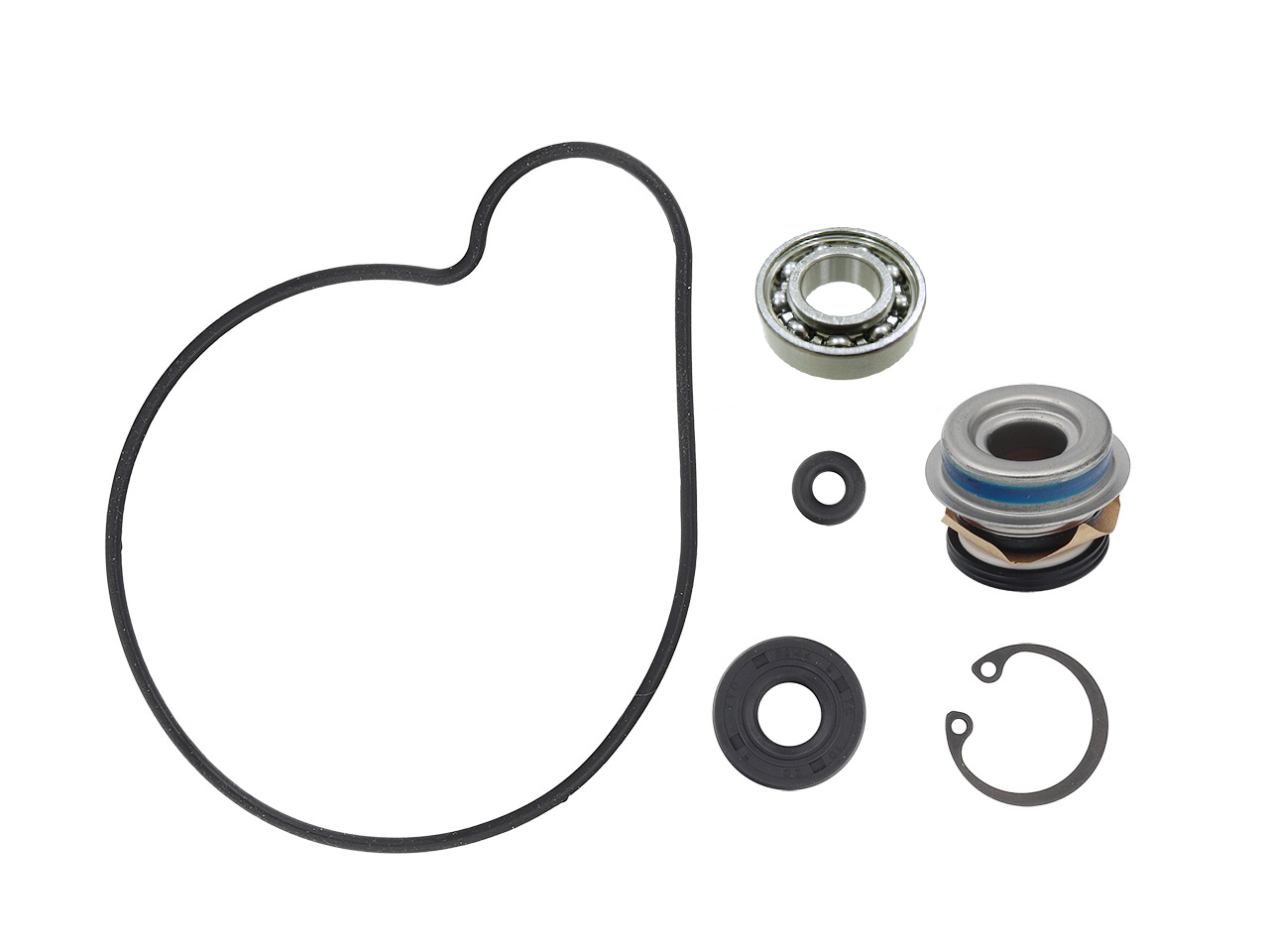 SP1 Water Pump Repair Kit