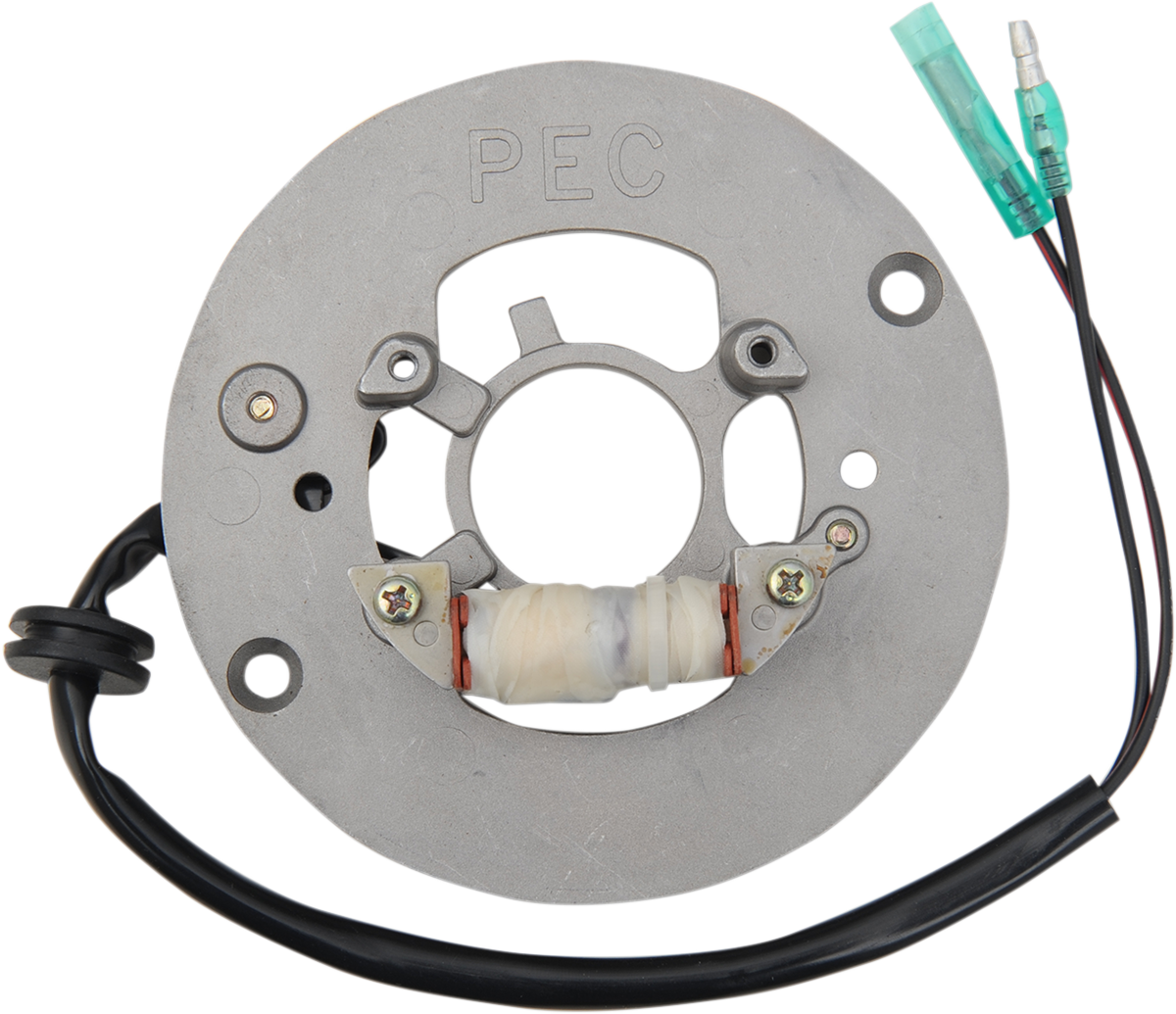 Rick's Motorsport Electric Stator