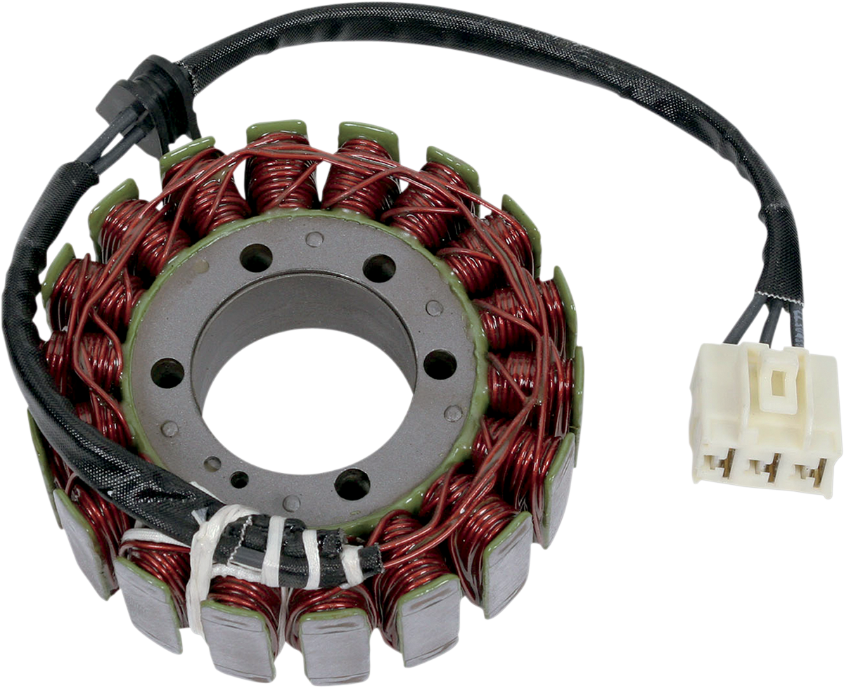 Rick's Motorsport Electric Stator
