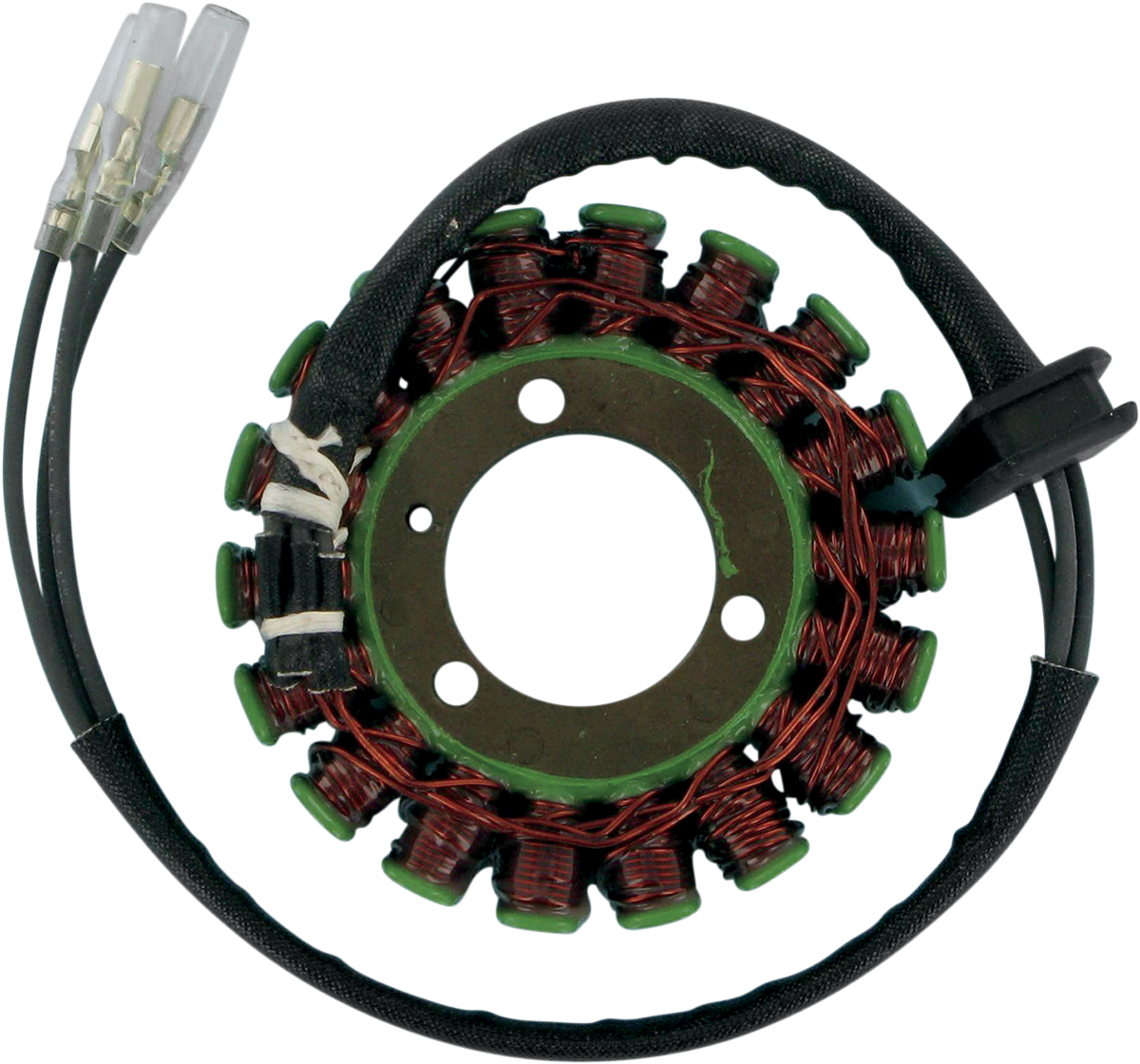Rick's Motorsport Electric Stator