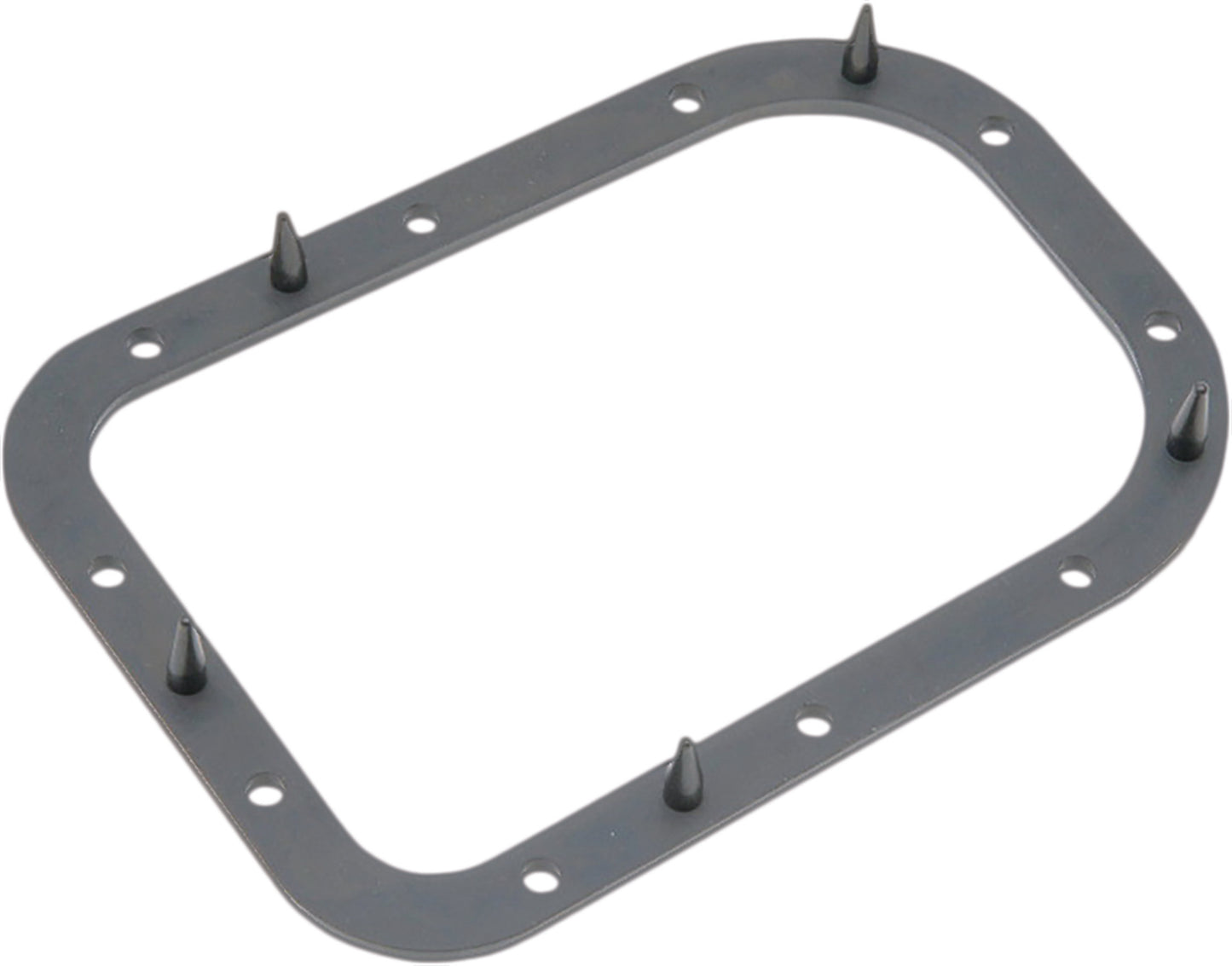Harddrive Fuel Pump Door Gasket