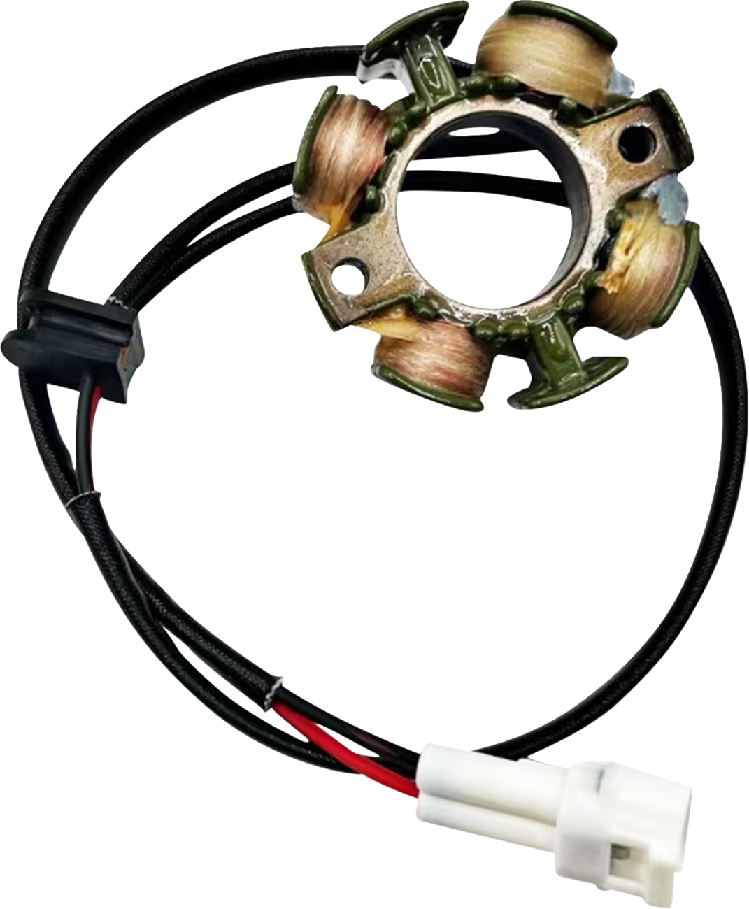 Rick's Motorsport Electric Stator