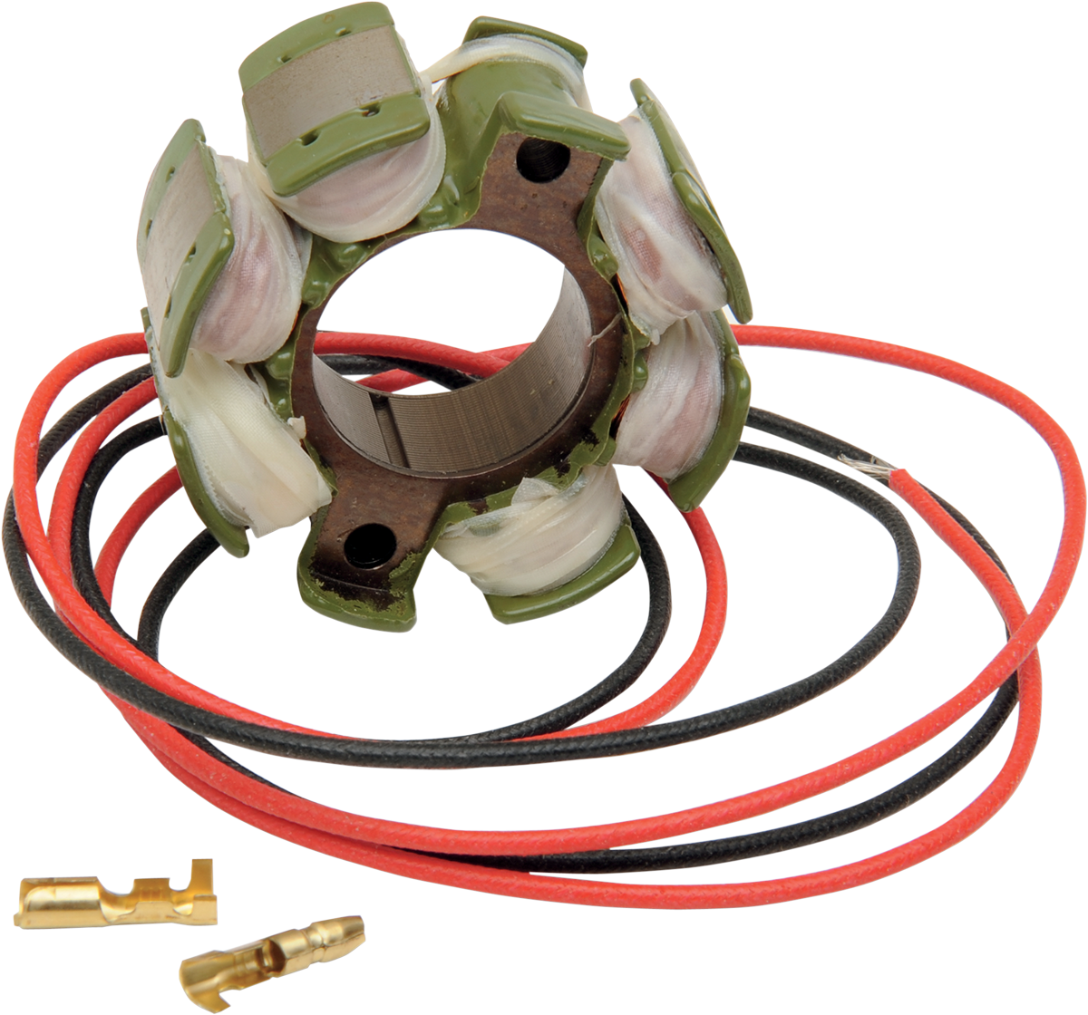 Rick's Motorsport Electric Stator