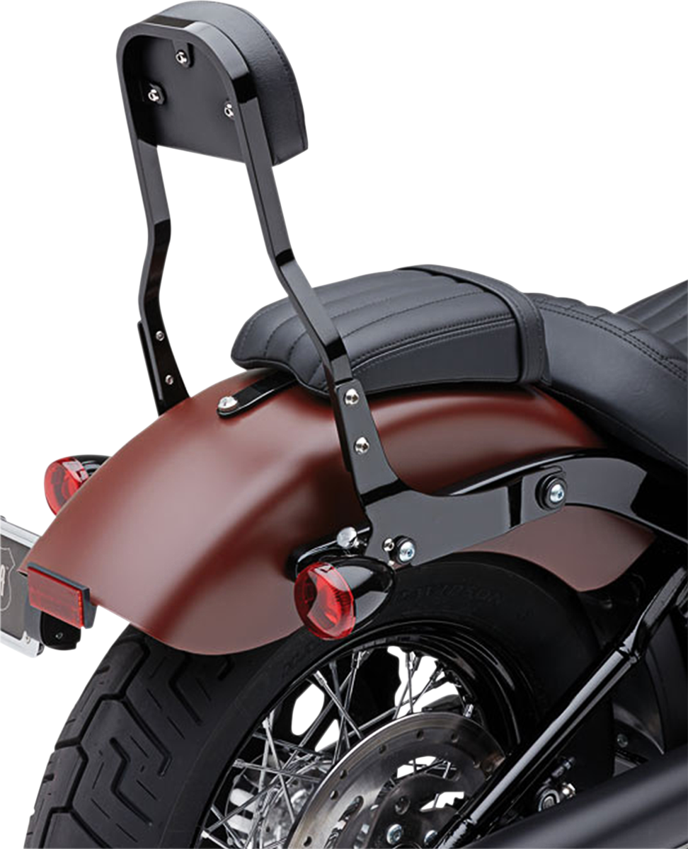 Cobra Backrest Kit