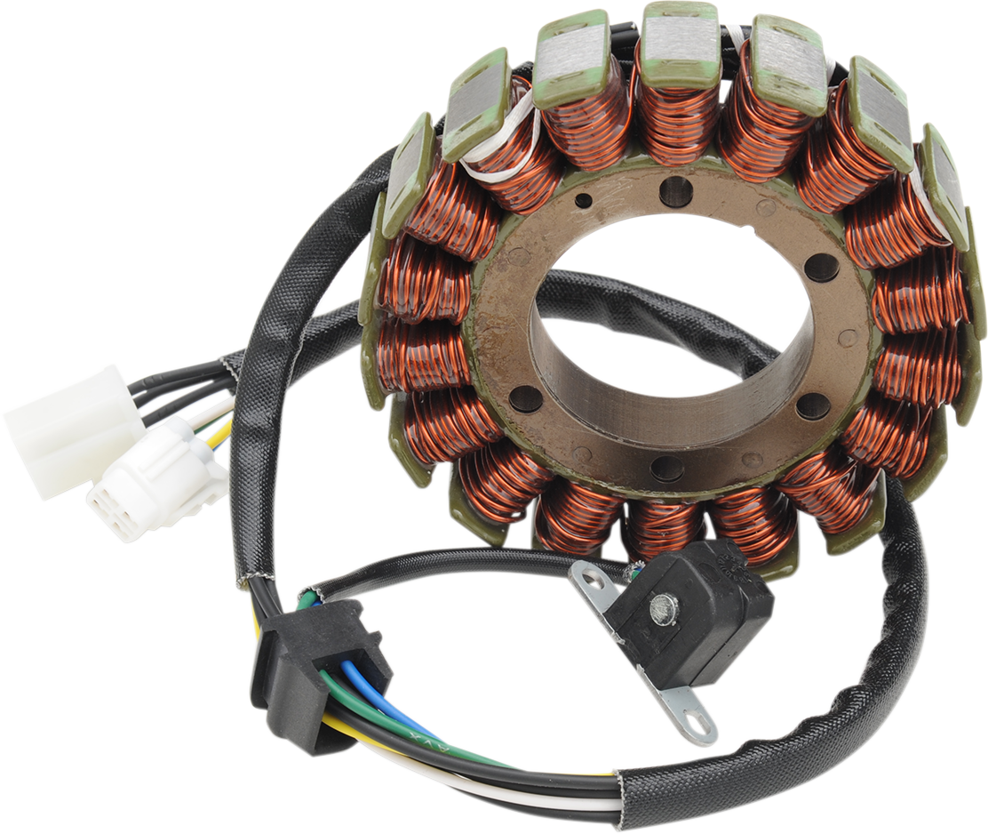Rick's Motorsport Electric Stator