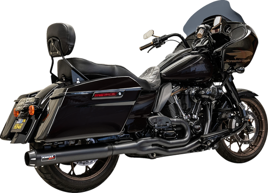 Bassani Xhaust 2-into-1 Exhaust System - 49-State