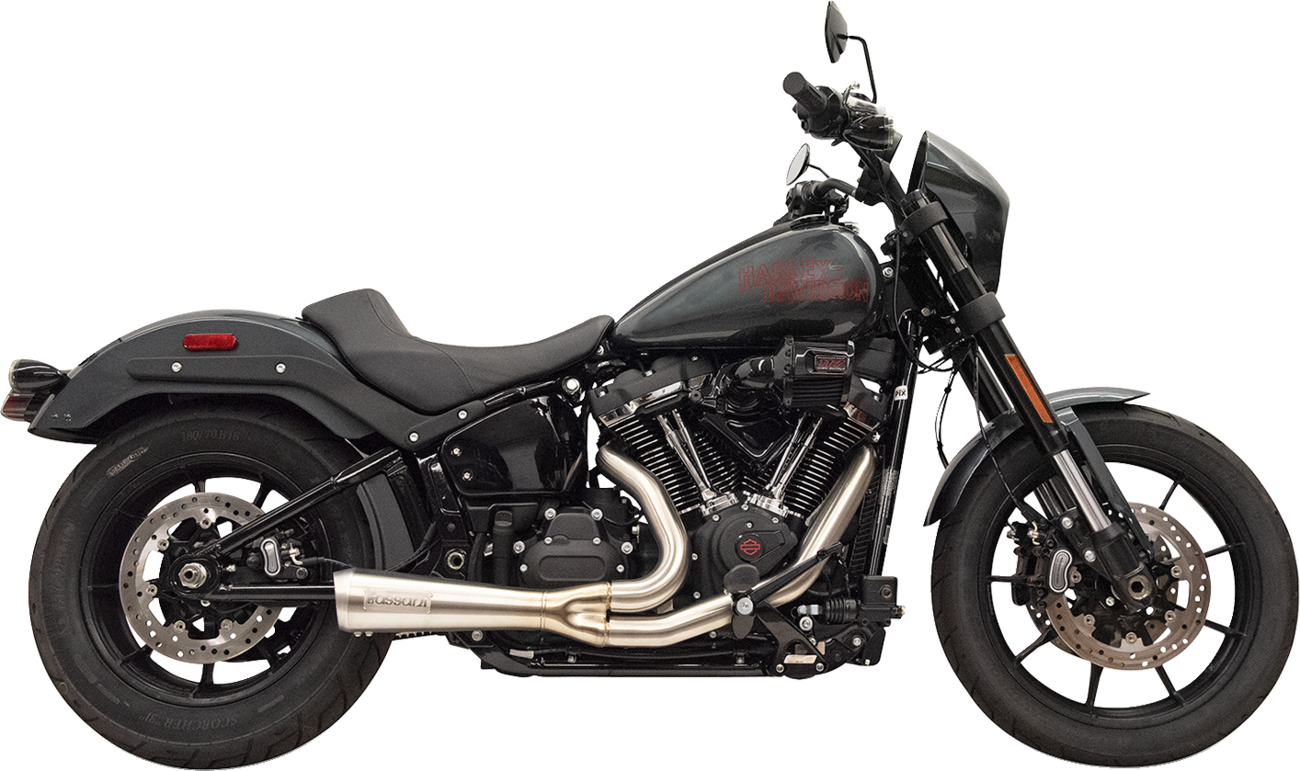 Bassani Xhaust 2-into-1 The Ripper Exhaust System with Megaphone Muffler