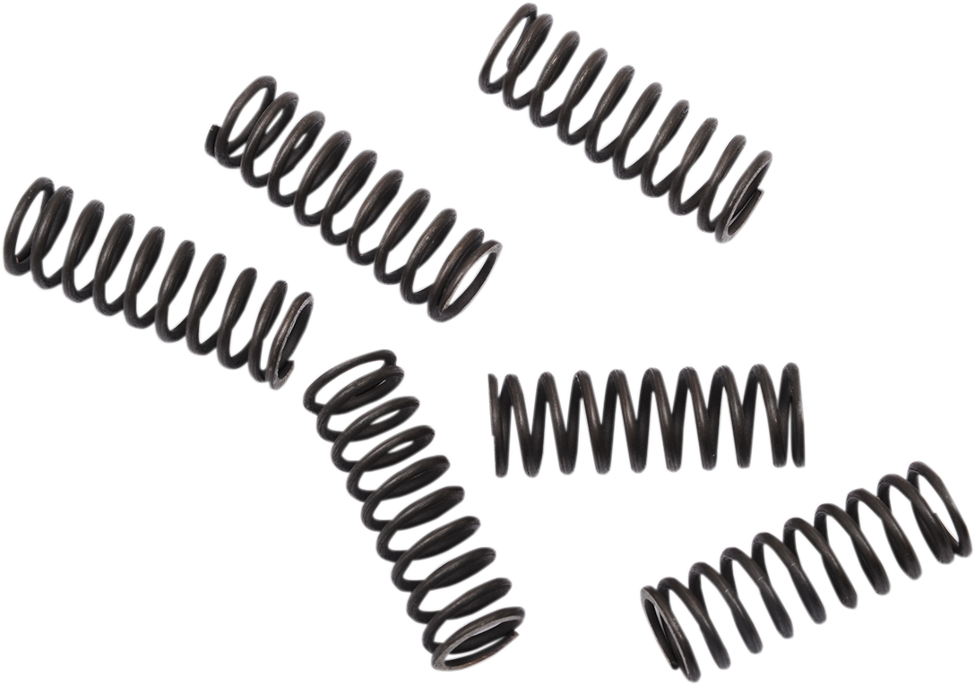 Moose Offroad Clutch Springs
