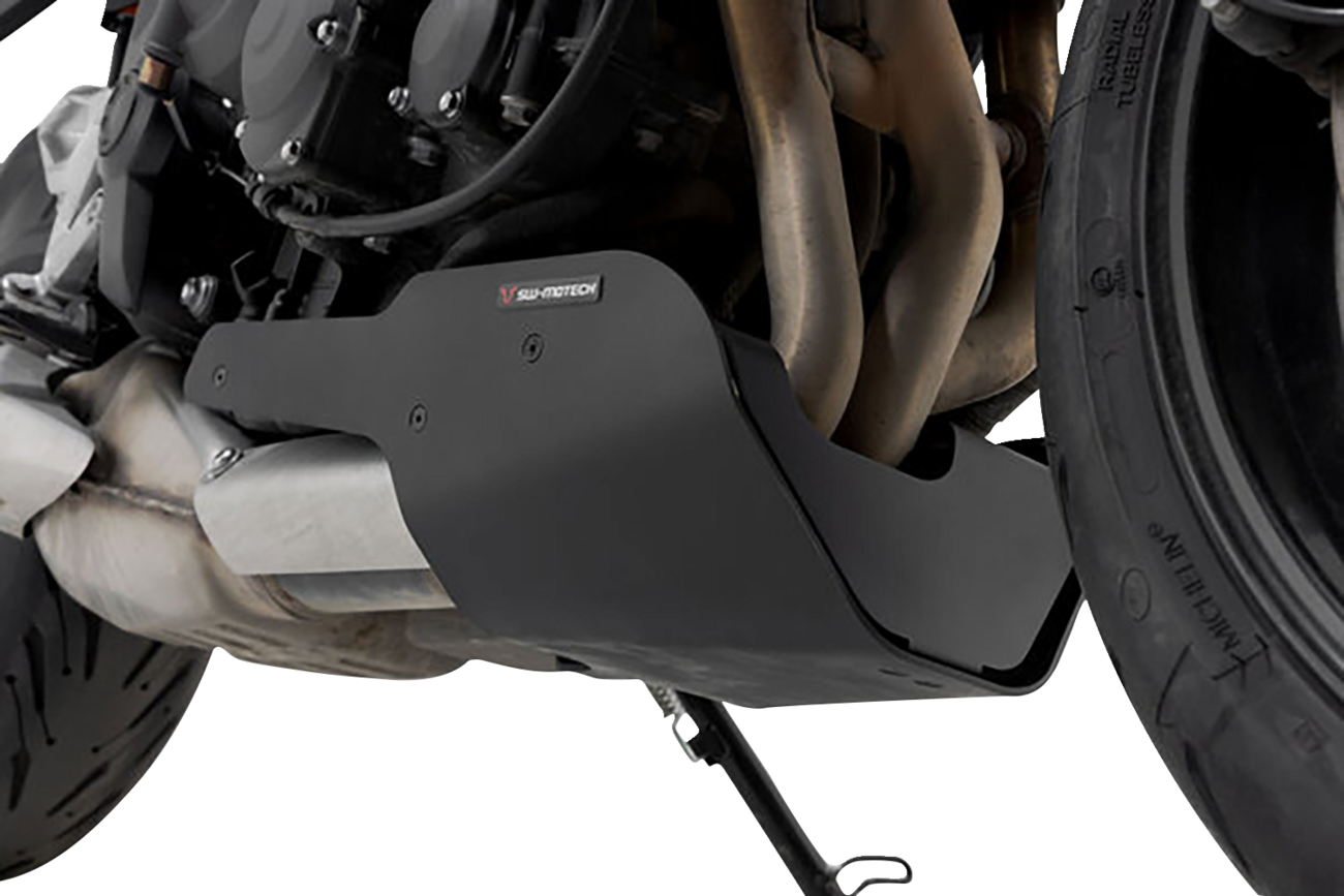 SW-Motech Engine Guard