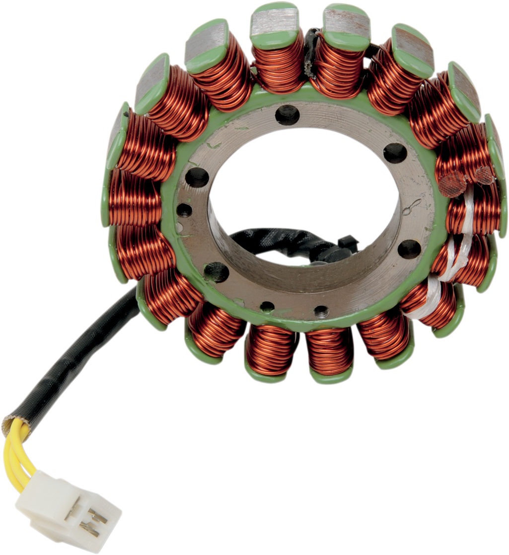 Rick's Motorsport Electric Stator