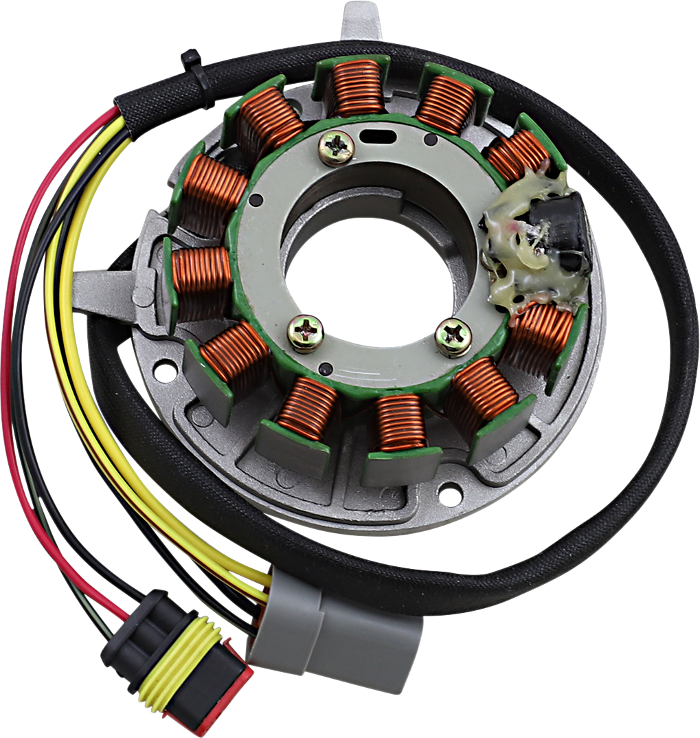Rick's Motorsport Electric Stator