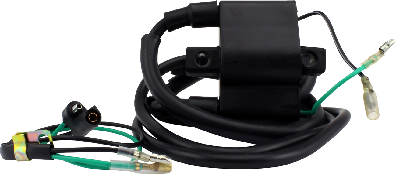 RM Stator Ignition Coil - External