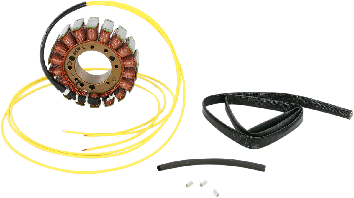 Rick's Motorsport Electric Stator