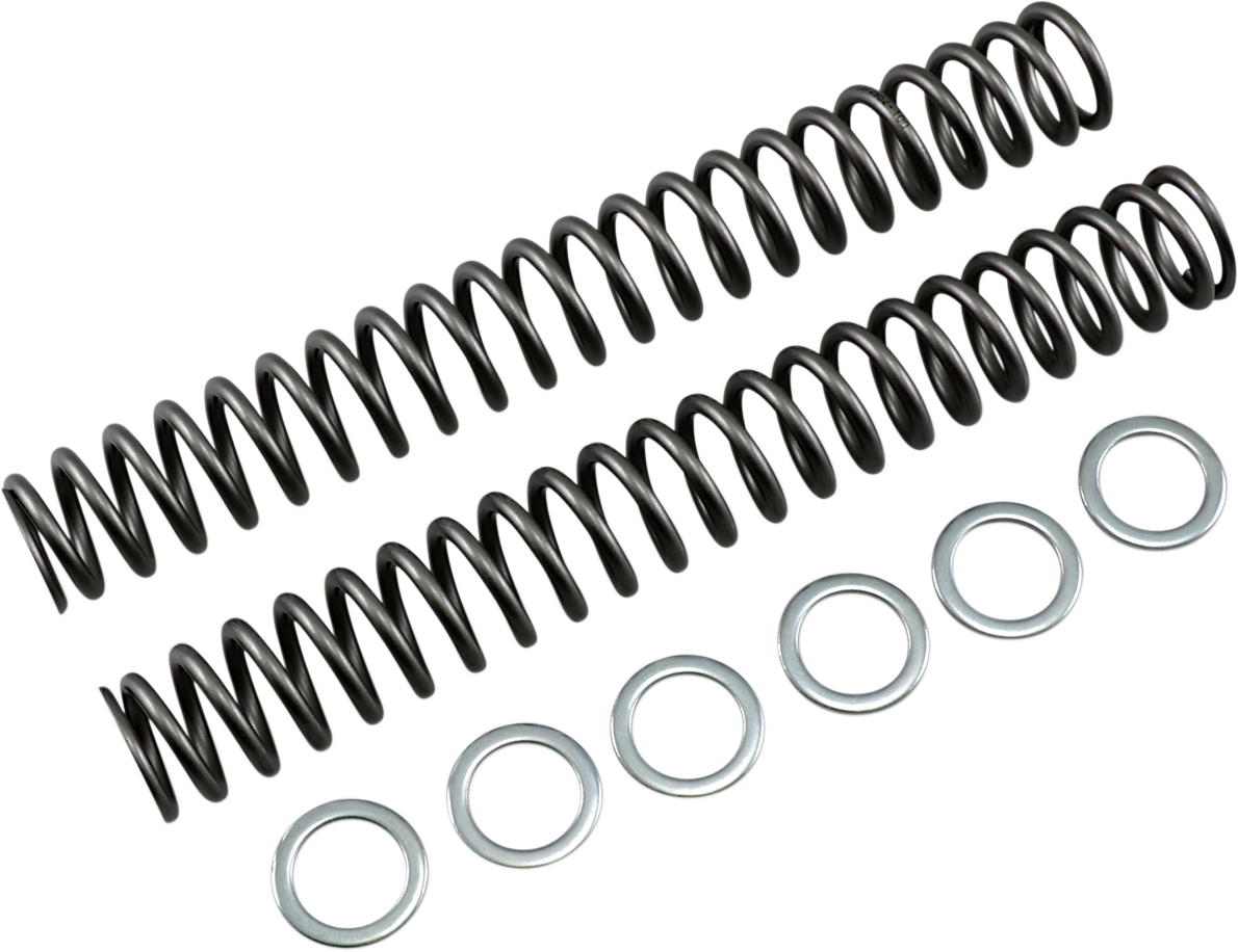 Race Tech Fork Springs