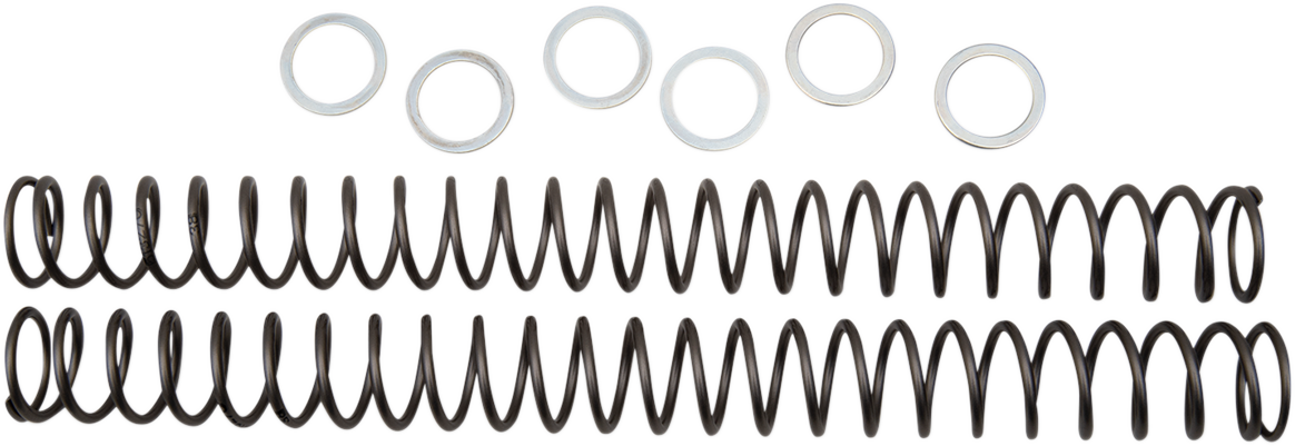 Race Tech Fork Springs