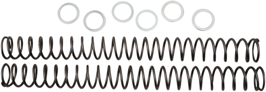 Race Tech Fork Springs